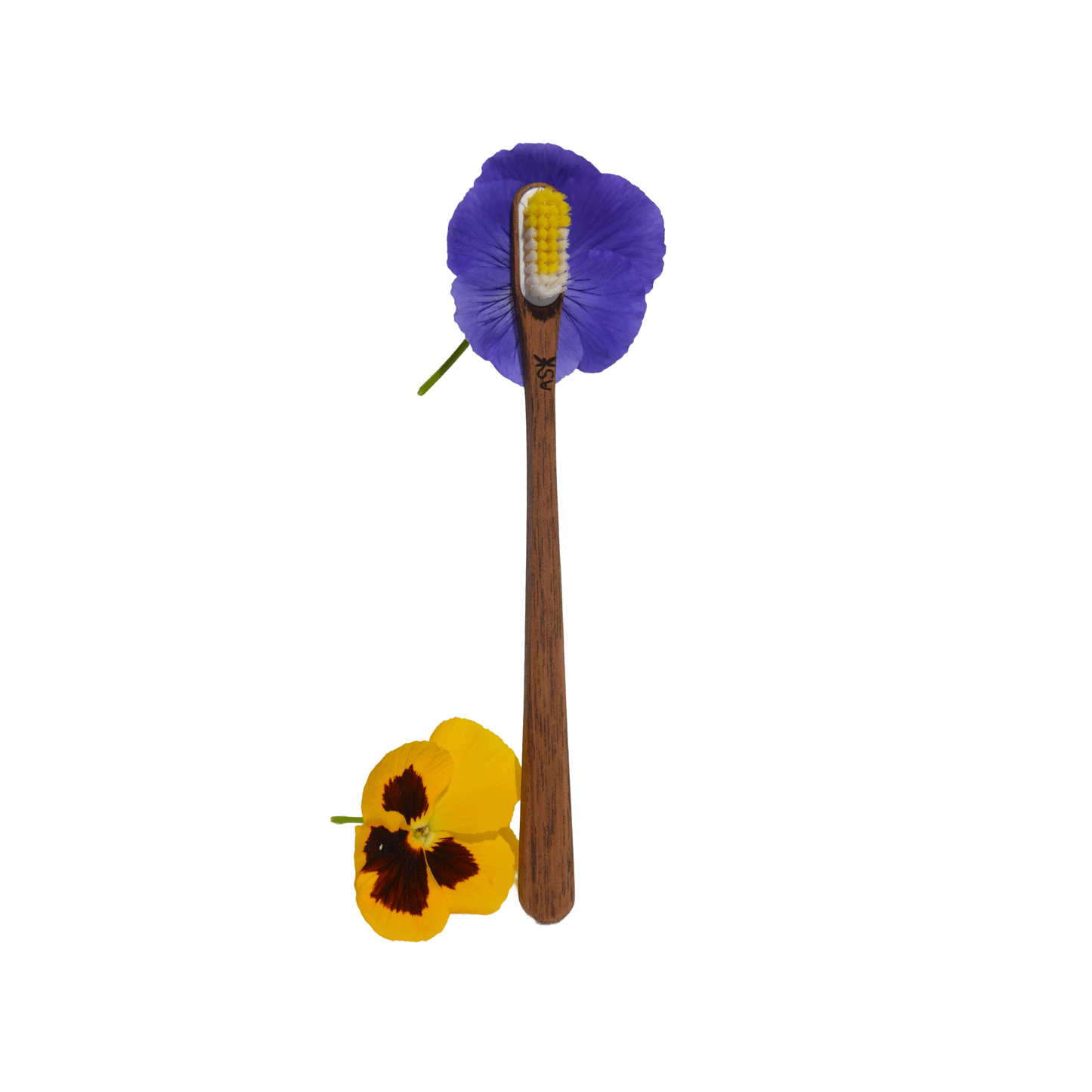Brosse à dents artisanale en bois à tête rechargeable - Noyer