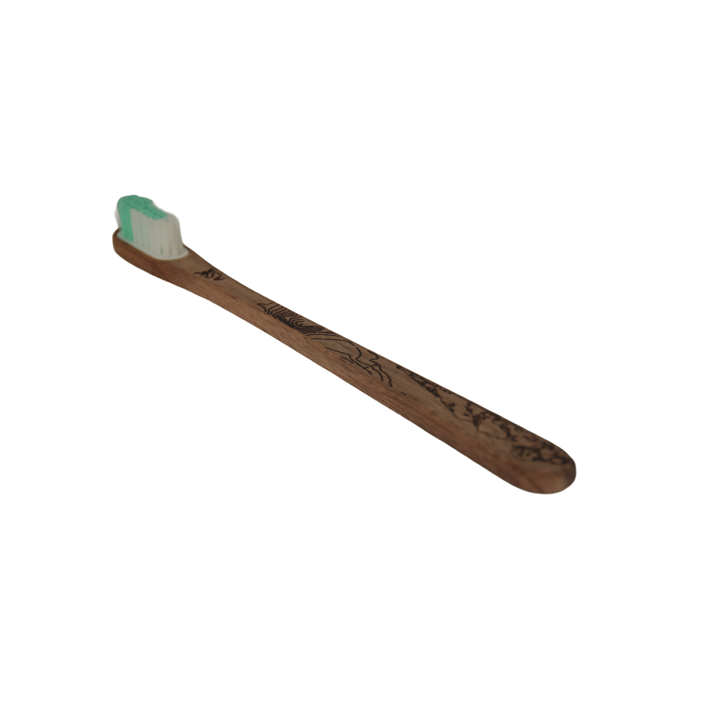 Brosse à dents artisanale en bois à tête rechargeable - Belledonne